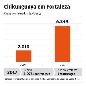 Dados alarmantes : 81% dos focos de mosquito transmissor estão dentro das casas das pessoas