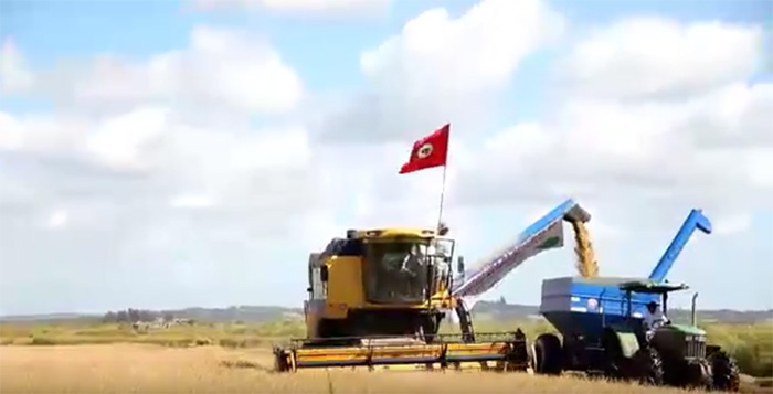 A produção agrícola do MST sem agrotóxicos e sustentável